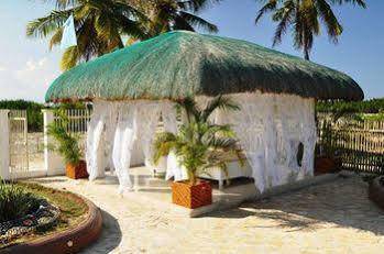 Sagastrand Beach Resort Olango Island Екстериор снимка